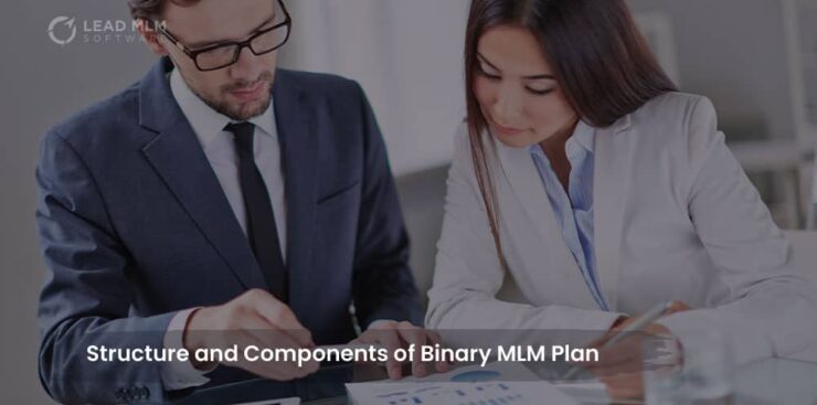 structure-components-binary-mlm-plan
